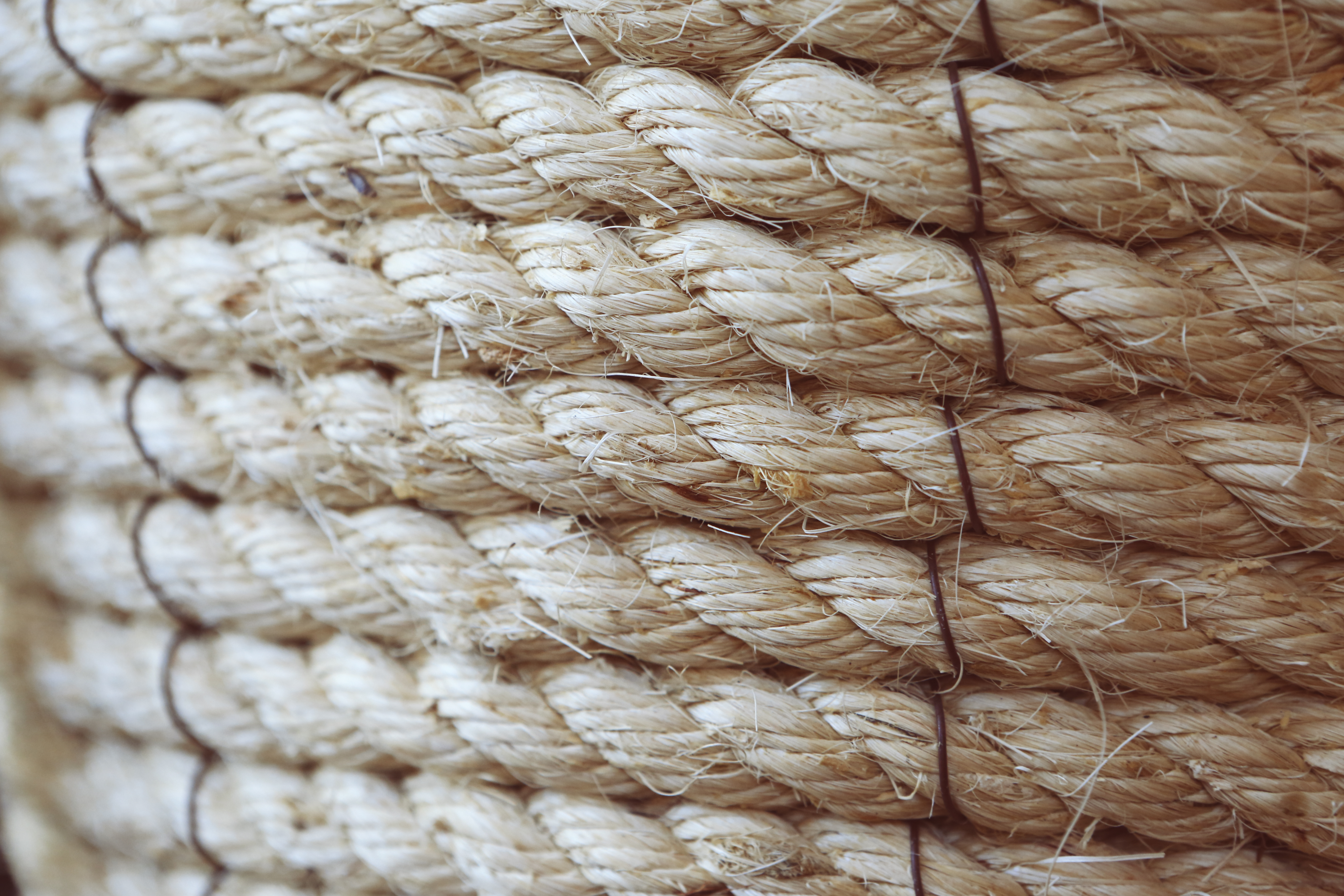 The ropes of life