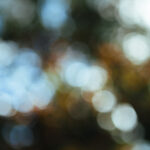 Intentional Living